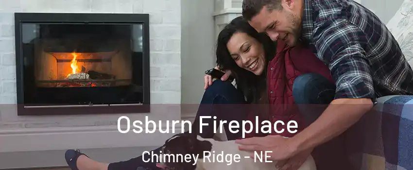 Osburn Fireplace Chimney Ridge - NE
