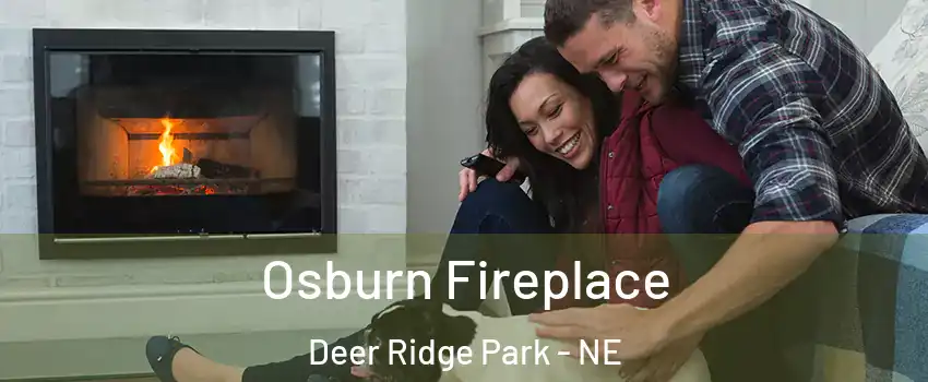 Osburn Fireplace Deer Ridge Park - NE
