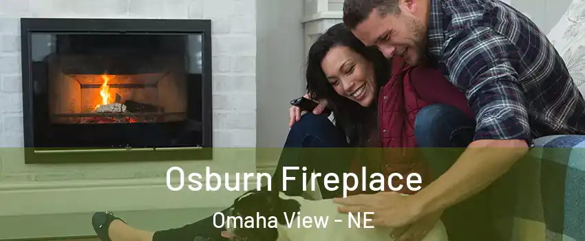 Osburn Fireplace Omaha View - NE