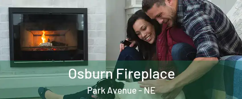 Osburn Fireplace Park Avenue - NE
