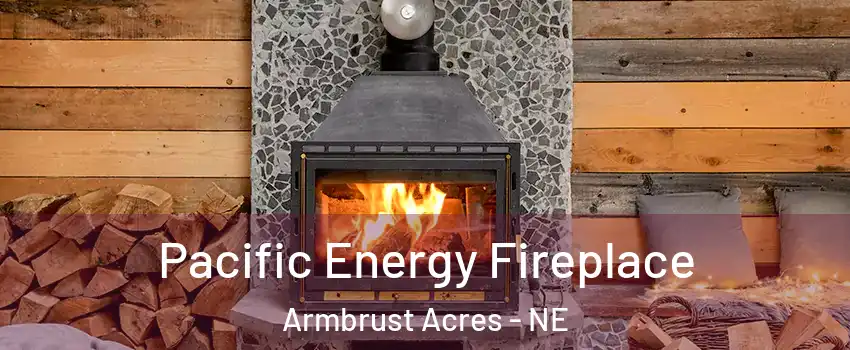 Pacific Energy Fireplace Armbrust Acres - NE