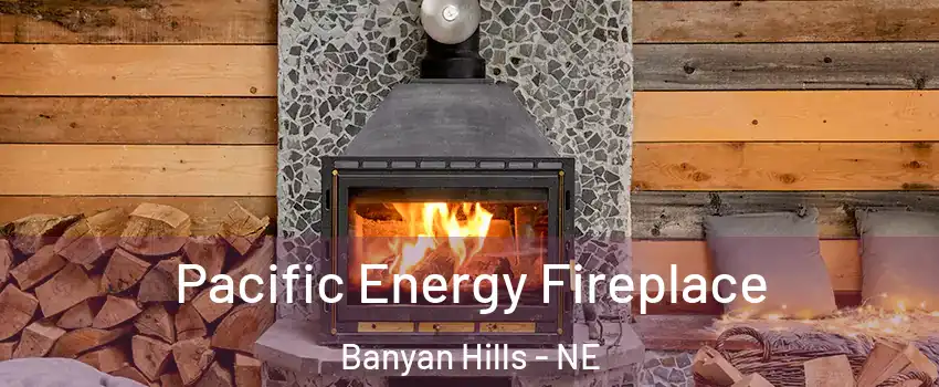 Pacific Energy Fireplace Banyan Hills - NE