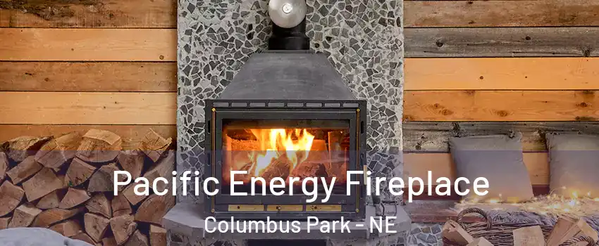 Pacific Energy Fireplace Columbus Park - NE