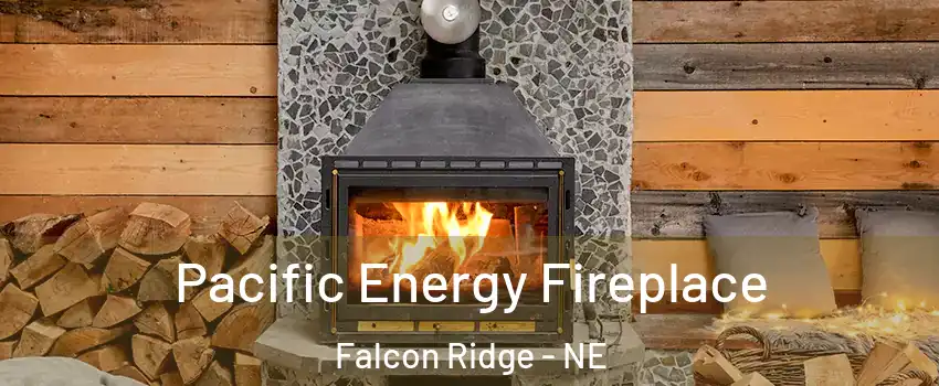 Pacific Energy Fireplace Falcon Ridge - NE