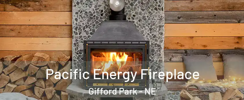 Pacific Energy Fireplace Gifford Park - NE