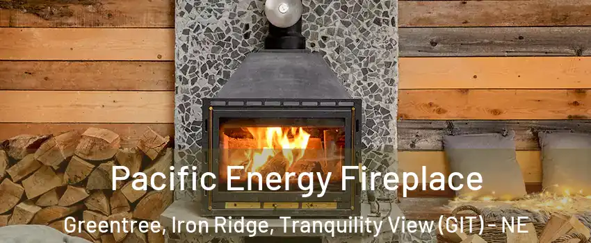Pacific Energy Fireplace Greentree, Iron Ridge, Tranquility View (GIT) - NE