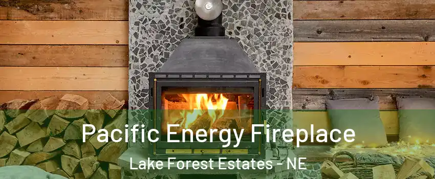 Pacific Energy Fireplace Lake Forest Estates - NE