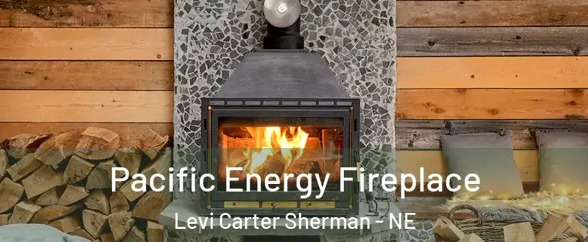 Pacific Energy Fireplace Levi Carter Sherman - NE