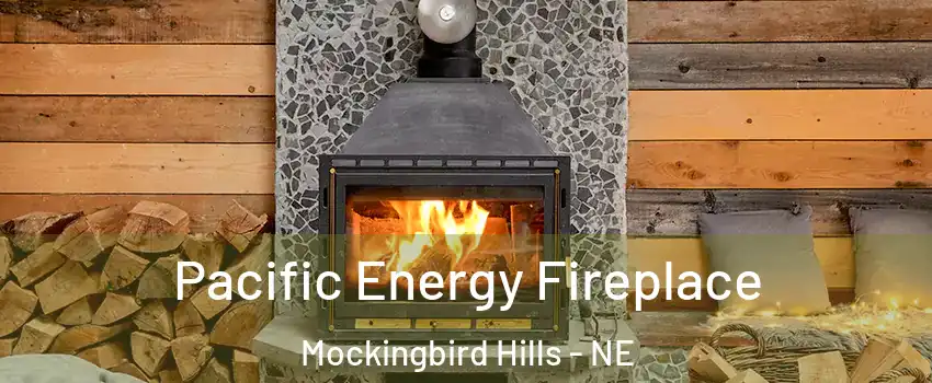 Pacific Energy Fireplace Mockingbird Hills - NE