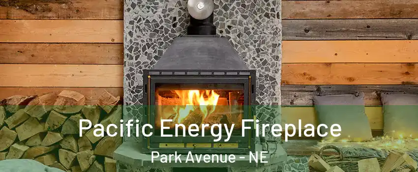 Pacific Energy Fireplace Park Avenue - NE