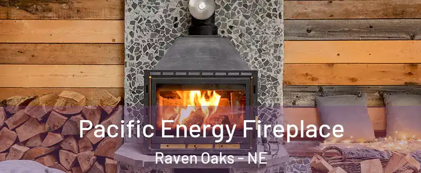 Pacific Energy Fireplace Raven Oaks - NE