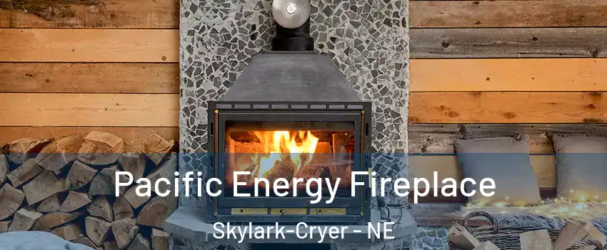 Pacific Energy Fireplace Skylark-Cryer - NE