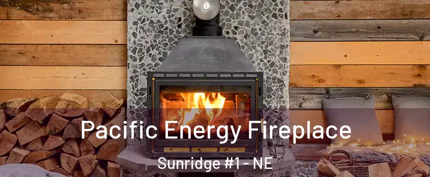 Pacific Energy Fireplace Sunridge #1 - NE