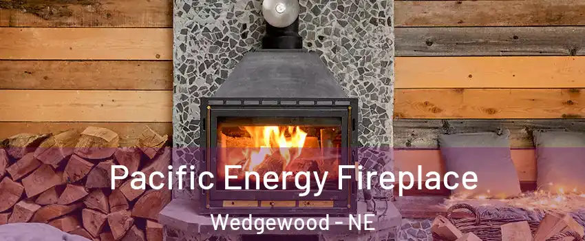 Pacific Energy Fireplace Wedgewood - NE
