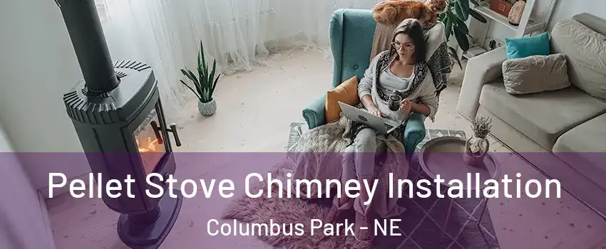 Pellet Stove Chimney Installation Columbus Park - NE
