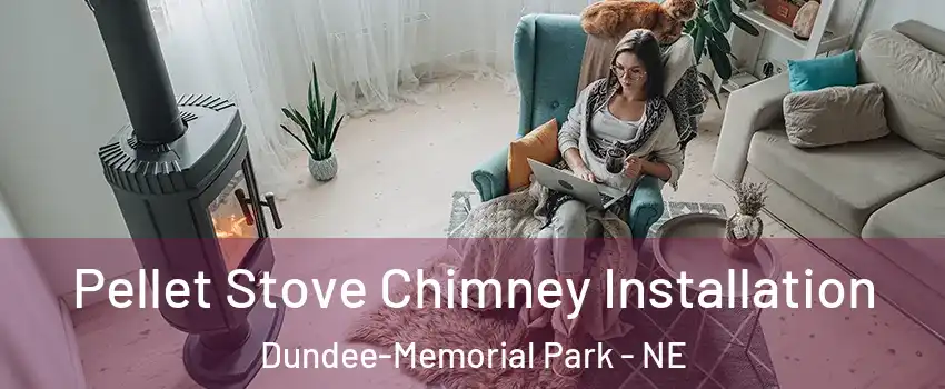 Pellet Stove Chimney Installation Dundee-Memorial Park - NE