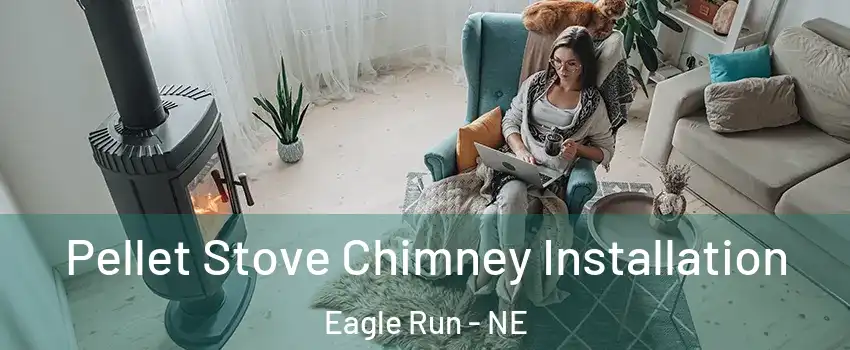 Pellet Stove Chimney Installation Eagle Run - NE