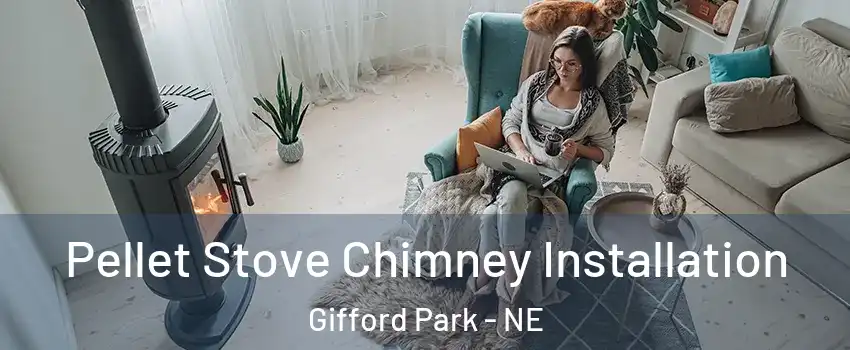 Pellet Stove Chimney Installation Gifford Park - NE
