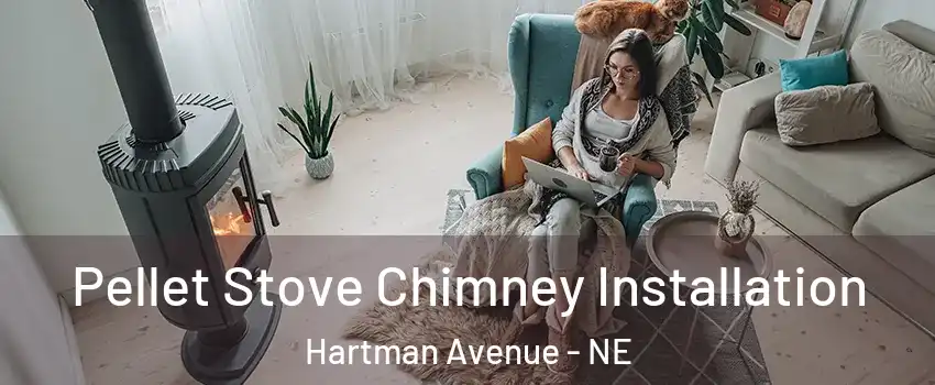 Pellet Stove Chimney Installation Hartman Avenue - NE