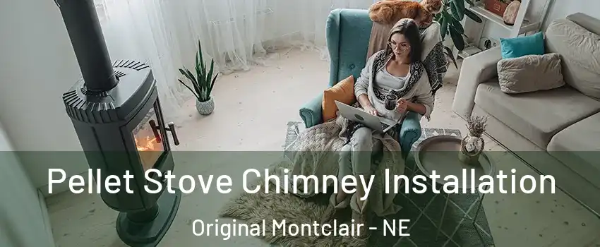 Pellet Stove Chimney Installation Original Montclair - NE