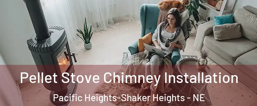 Pellet Stove Chimney Installation Pacific Heights-Shaker Heights - NE