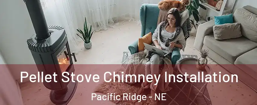 Pellet Stove Chimney Installation Pacific Ridge - NE