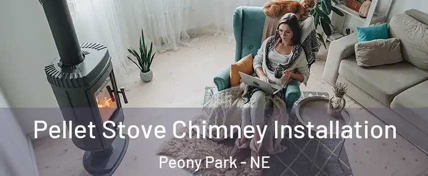Pellet Stove Chimney Installation Peony Park - NE