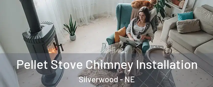 Pellet Stove Chimney Installation Silverwood - NE