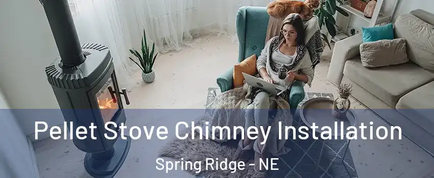 Pellet Stove Chimney Installation Spring Ridge - NE