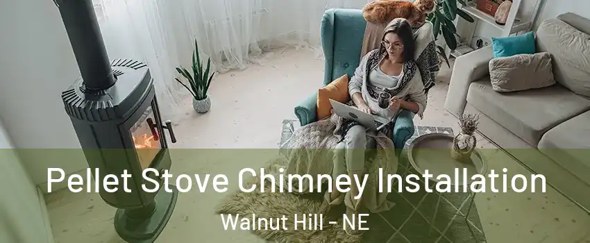 Pellet Stove Chimney Installation Walnut Hill - NE