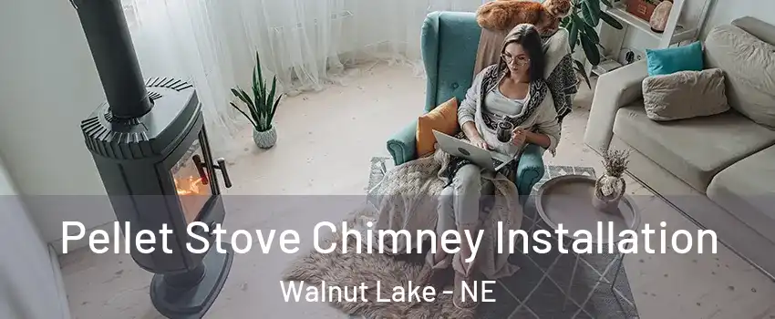 Pellet Stove Chimney Installation Walnut Lake - NE
