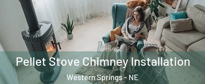 Pellet Stove Chimney Installation Western Springs - NE