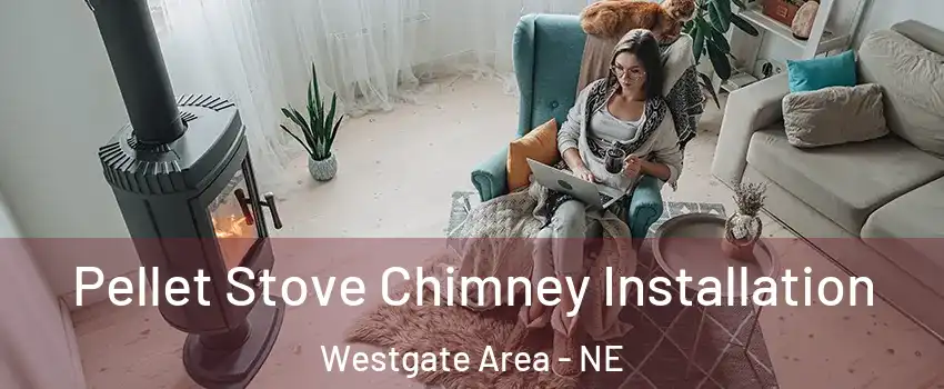 Pellet Stove Chimney Installation Westgate Area - NE