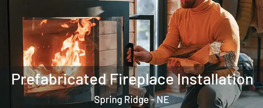 Prefabricated Fireplace Installation Spring Ridge - NE