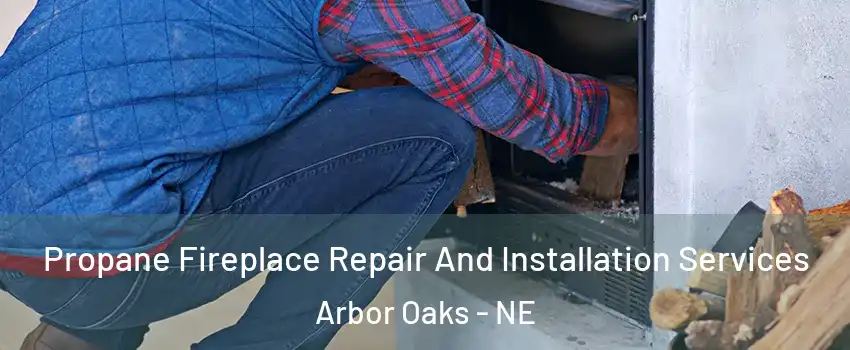 Propane Fireplace Repair And Installation Services Arbor Oaks - NE