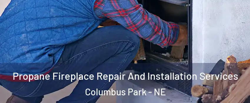 Propane Fireplace Repair And Installation Services Columbus Park - NE