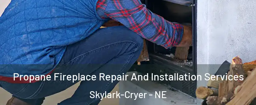 Propane Fireplace Repair And Installation Services Skylark-Cryer - NE