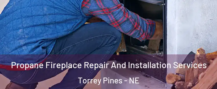 Propane Fireplace Repair And Installation Services Torrey Pines - NE