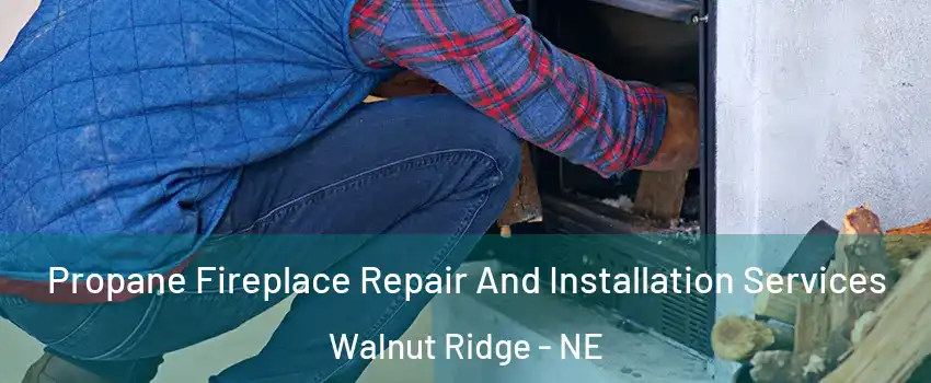 Propane Fireplace Repair And Installation Services Walnut Ridge - NE