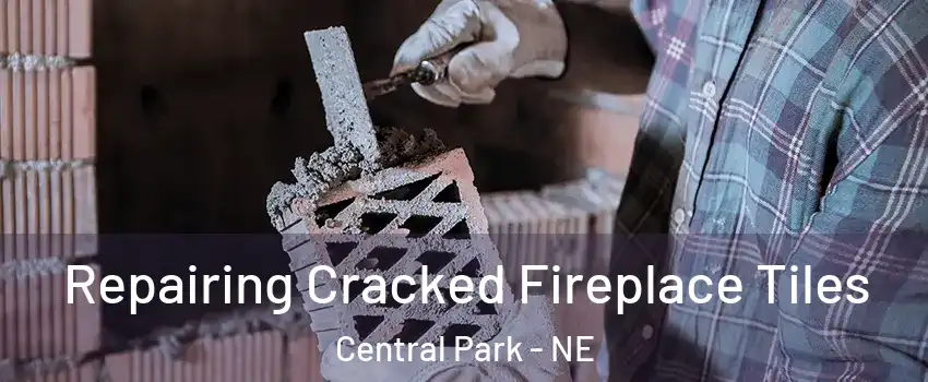 Repairing Cracked Fireplace Tiles Central Park - NE
