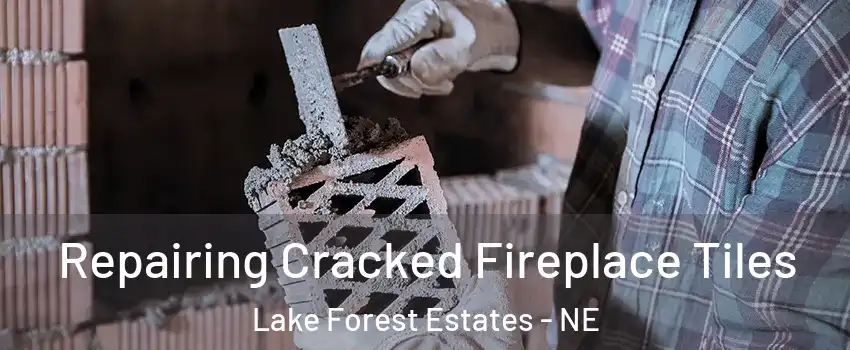 Repairing Cracked Fireplace Tiles Lake Forest Estates - NE