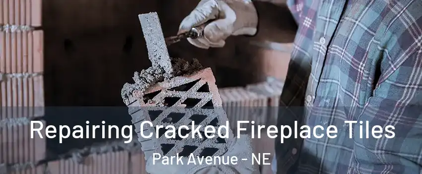 Repairing Cracked Fireplace Tiles Park Avenue - NE