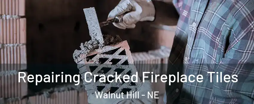 Repairing Cracked Fireplace Tiles Walnut Hill - NE