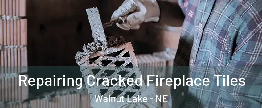 Repairing Cracked Fireplace Tiles Walnut Lake - NE