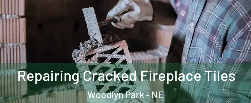 Repairing Cracked Fireplace Tiles Woodlyn Park - NE
