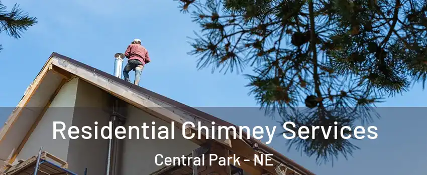 Residential Chimney Services Central Park - NE