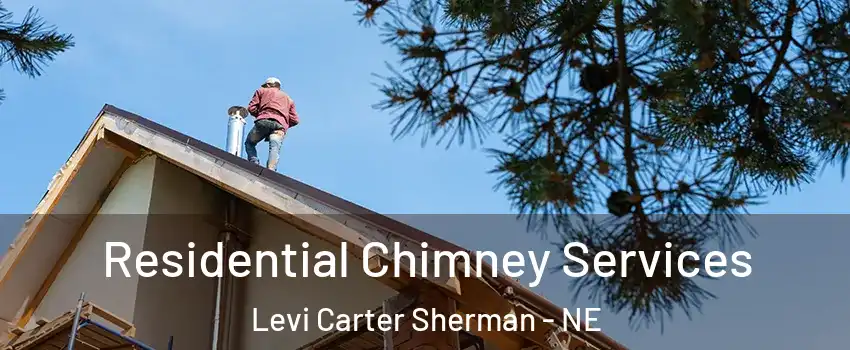 Residential Chimney Services Levi Carter Sherman - NE