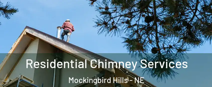 Residential Chimney Services Mockingbird Hills - NE