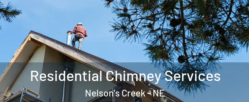 Residential Chimney Services Nelson's Creek - NE