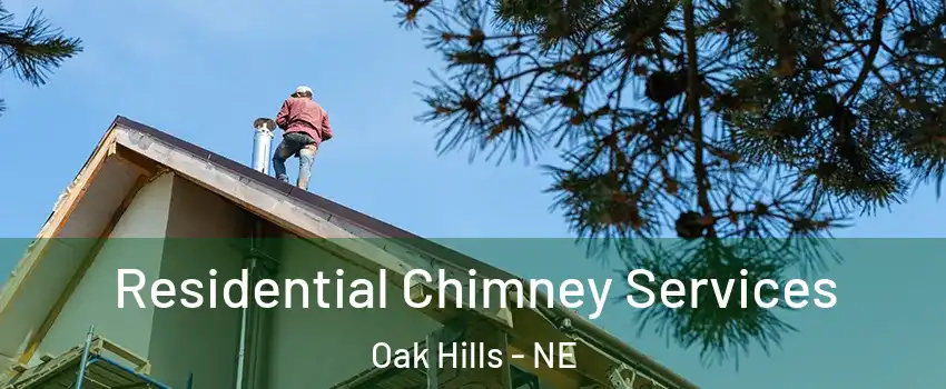 Residential Chimney Services Oak Hills - NE